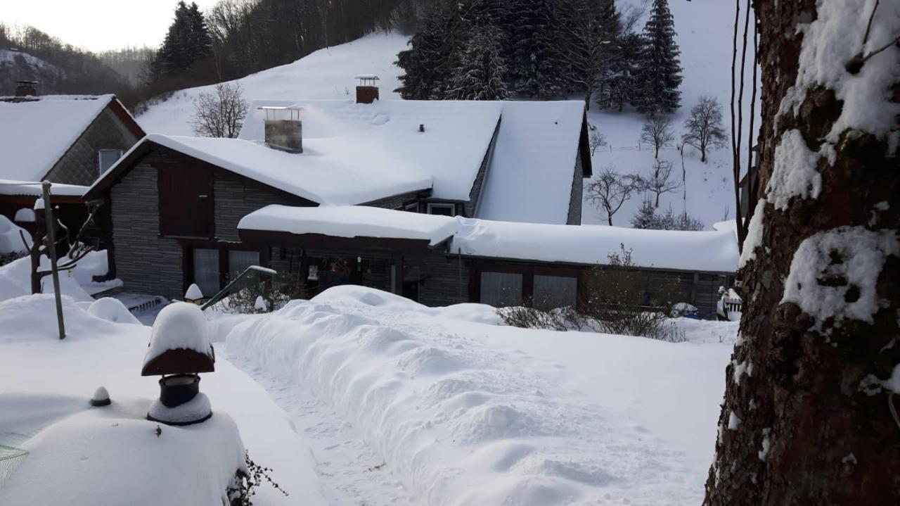 Haus Wiesenblick Walkenried Esterno foto